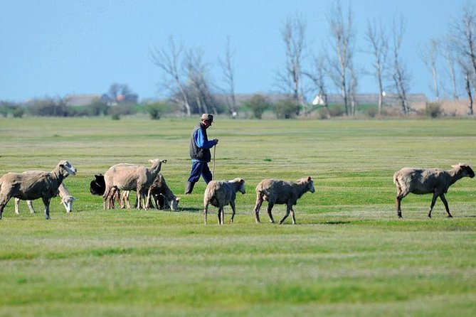 Debrecen Private Tour